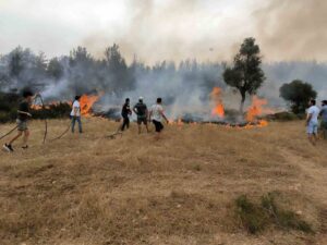 Büyükşehir itfaiye ekipleri 6 ayda 380 anız yangınına müdahale etti