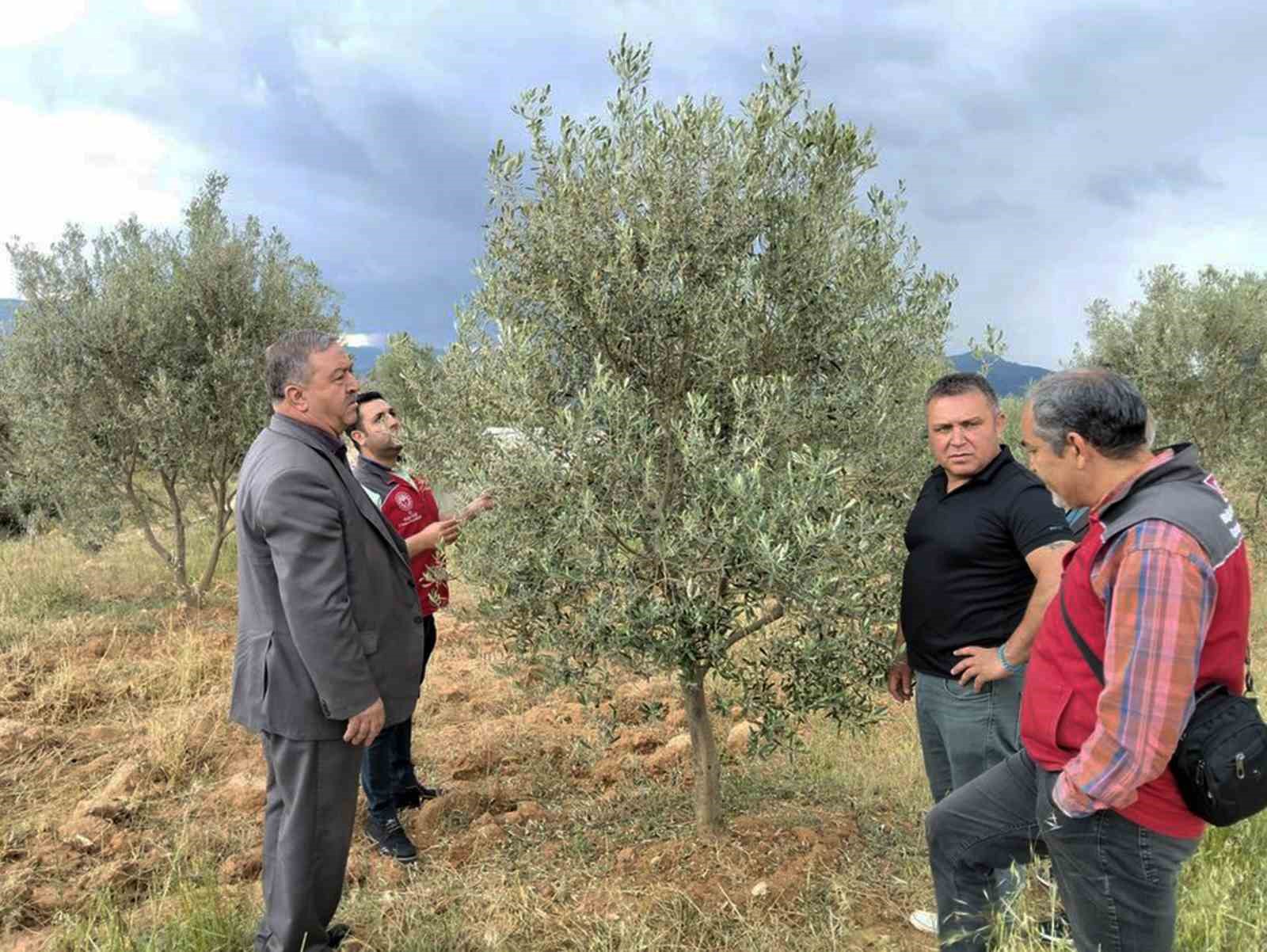 Dolunun vurduğu Esençay’da hasar tespiti yapıldı Muğla’nın Menteşe ilçesi kırsal