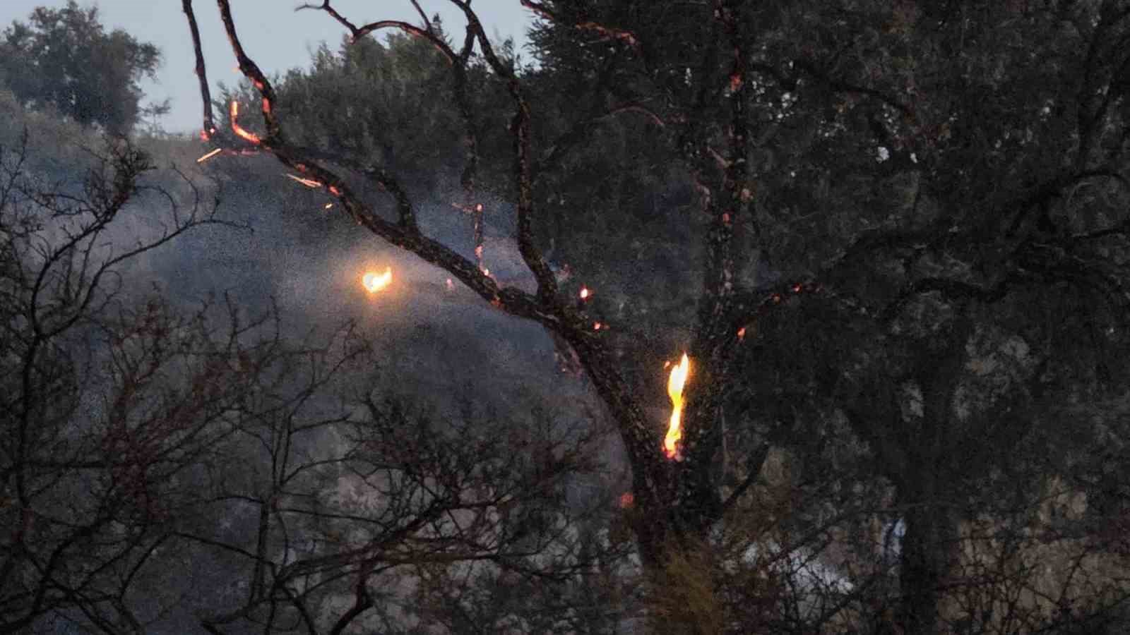 Muğla’nın Milas ilçesinde iddiaya