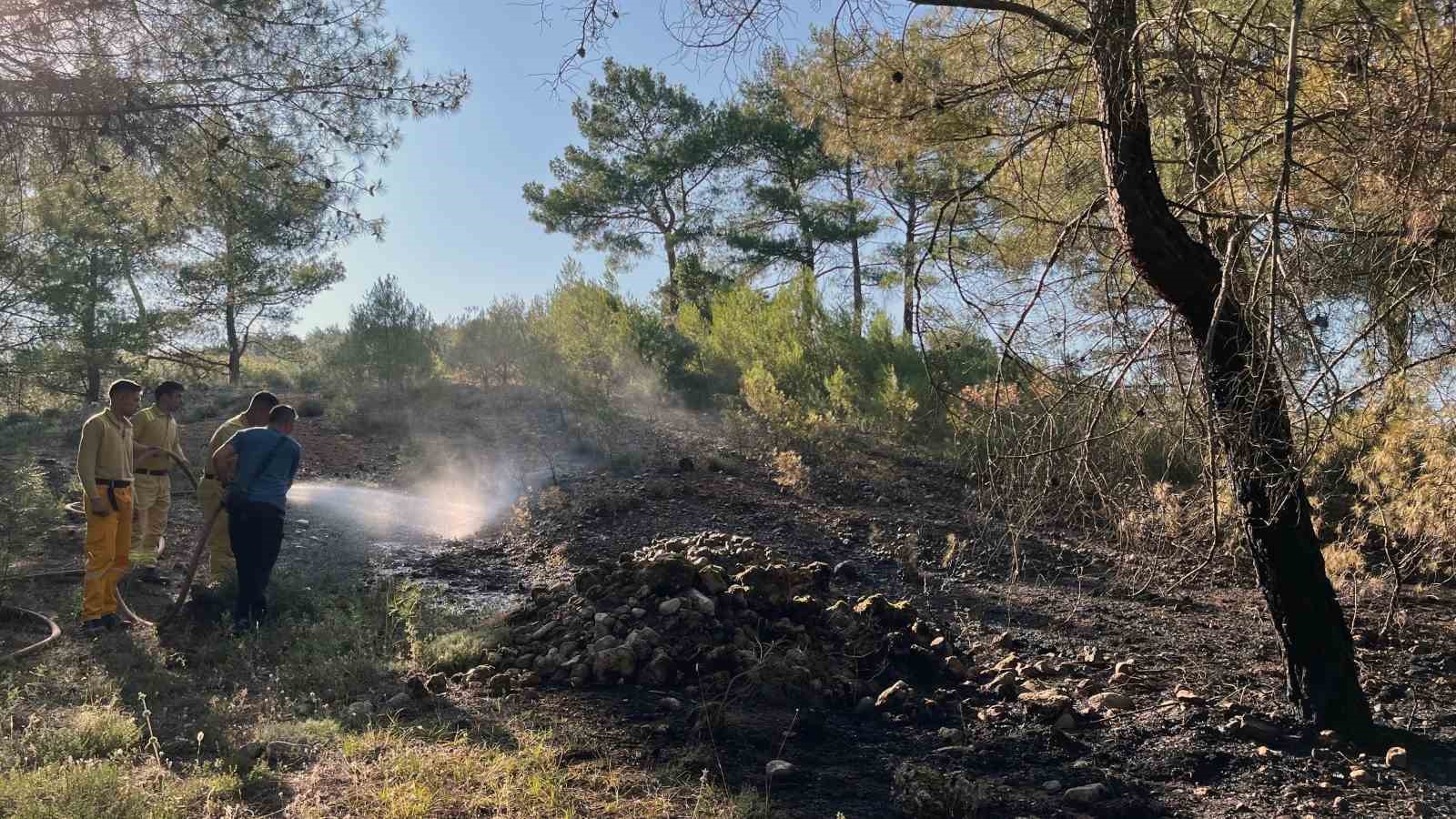 Muğla’nın Menteşe ilçesi Akçaova