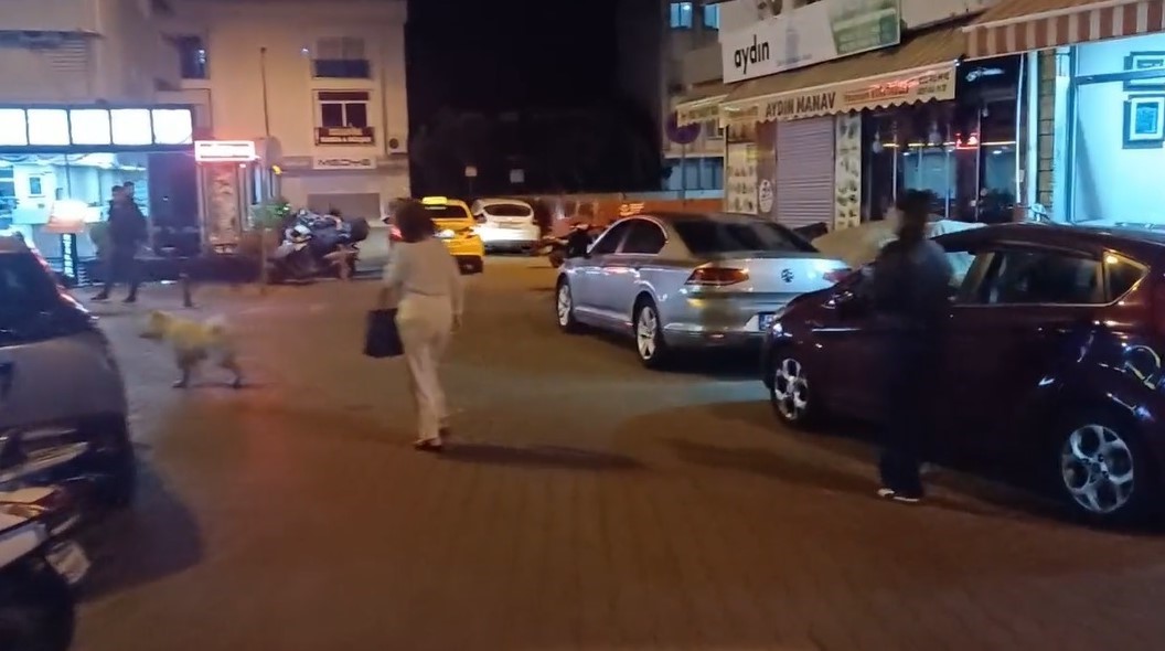 Muğla Valiliği 5.8 şiddetinde