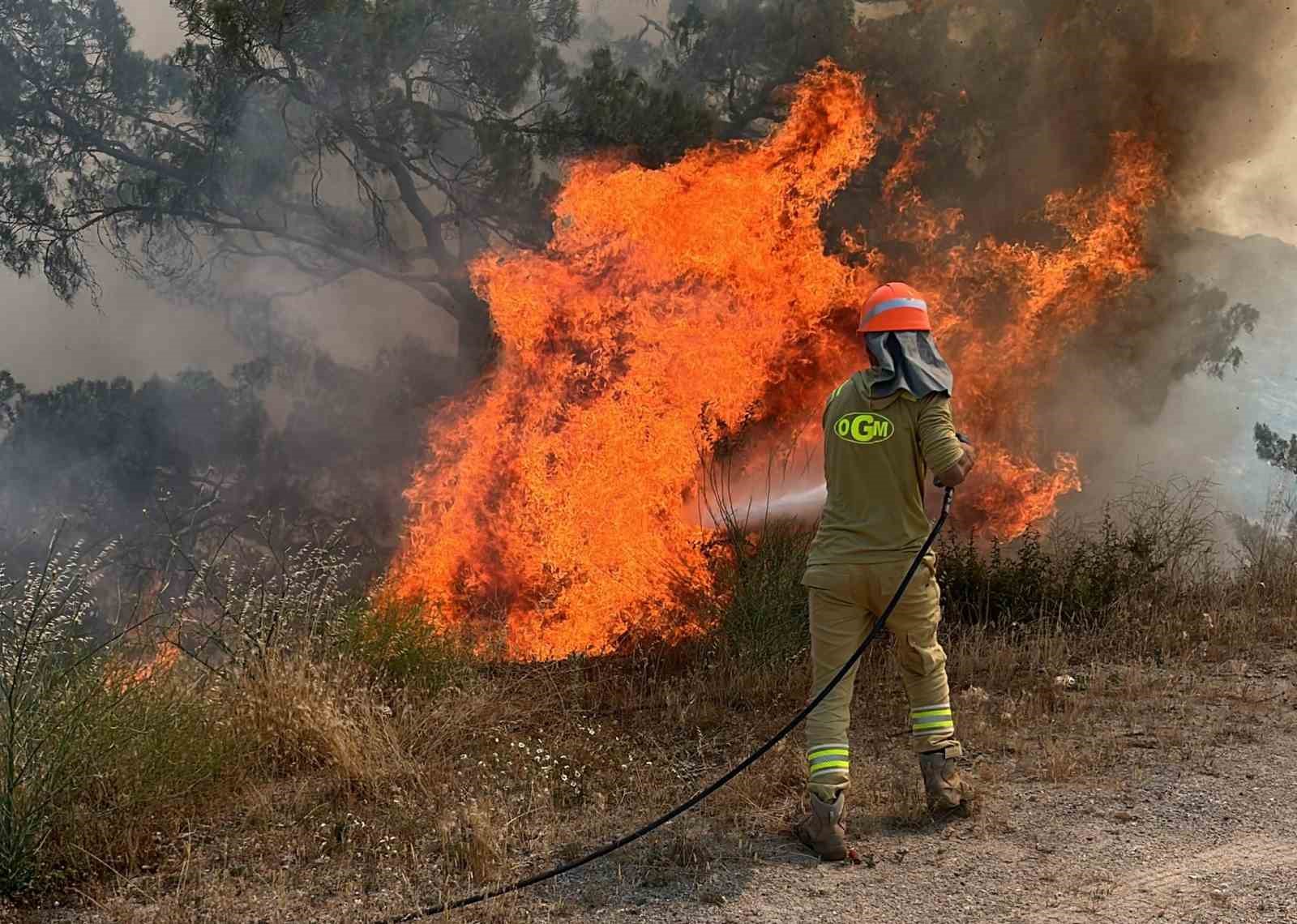 Muğla’nın Yatağan ilçesinde çıkan
