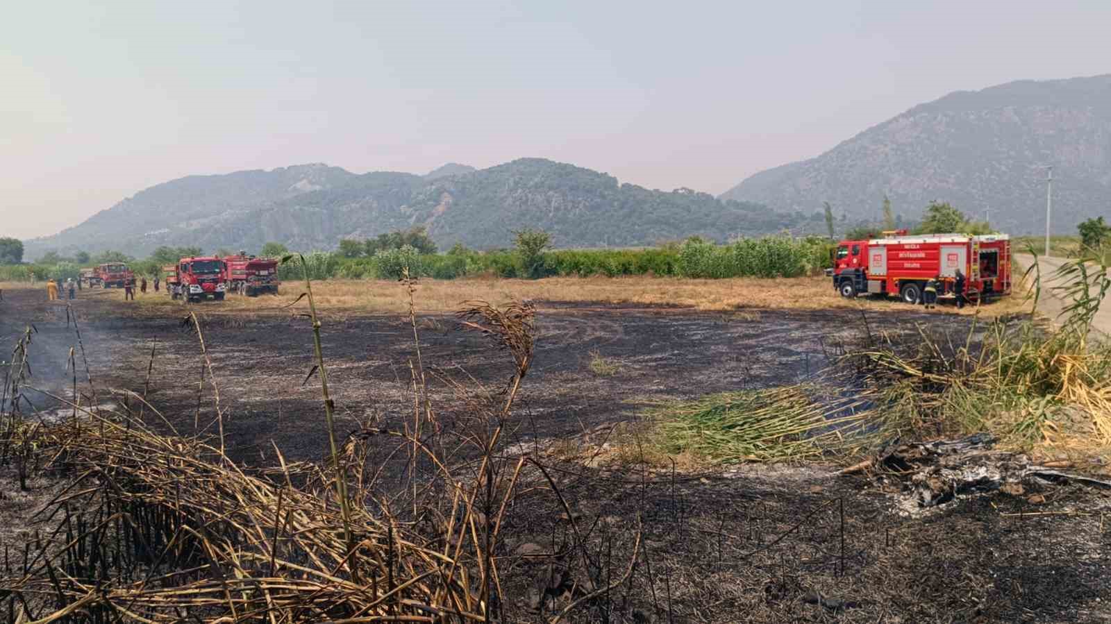 Ortaca’da sazlık yangını Muğla’nın Ortaca ilçesinde sazlık