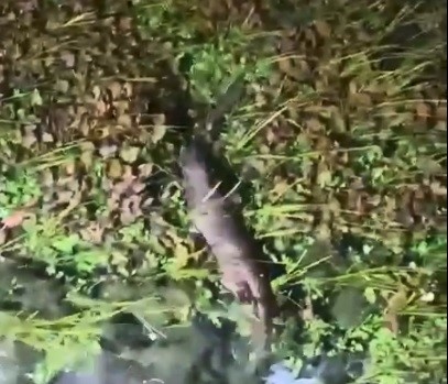 Muğla’nın Ula ilçesine bağlı,