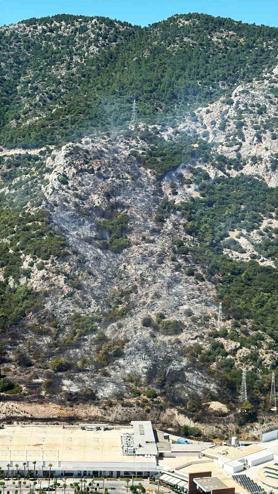 Muğla’nın Bodrum ilçesinde ağaçlık