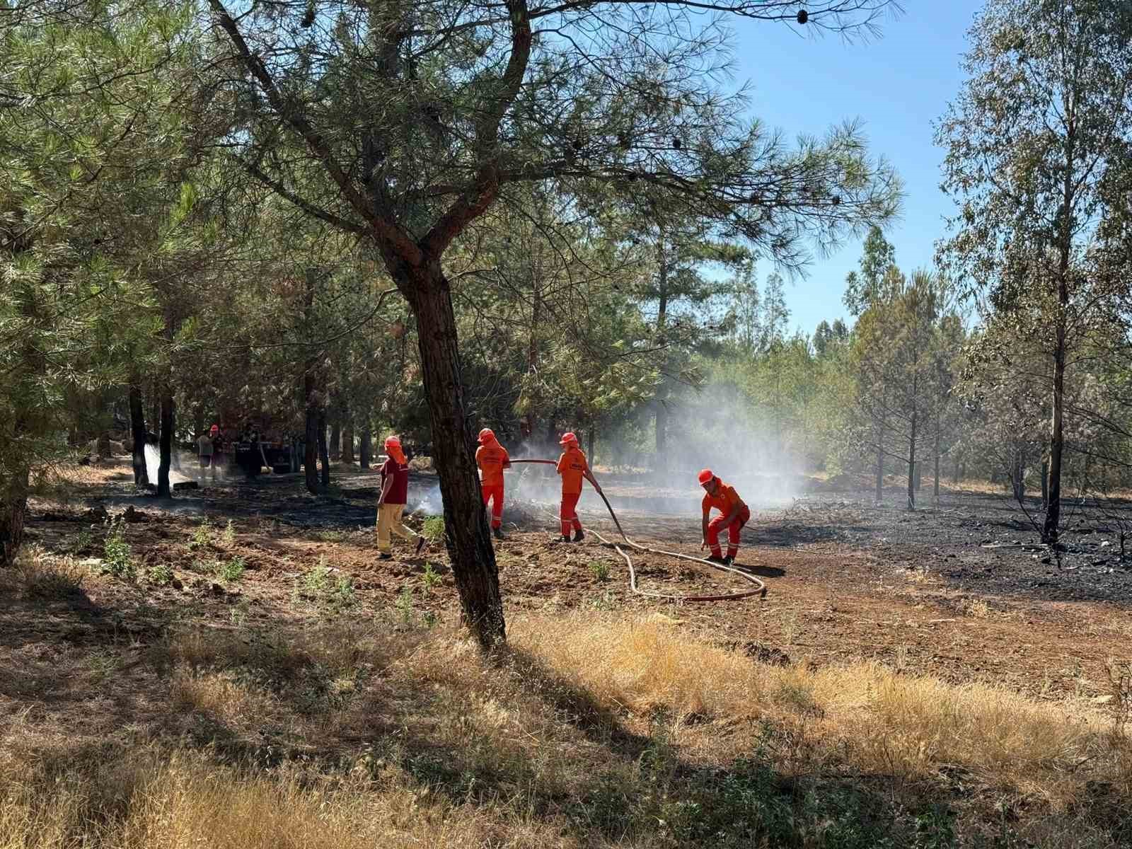 Muğla’nın Fethiye ilçesinde ormanlık