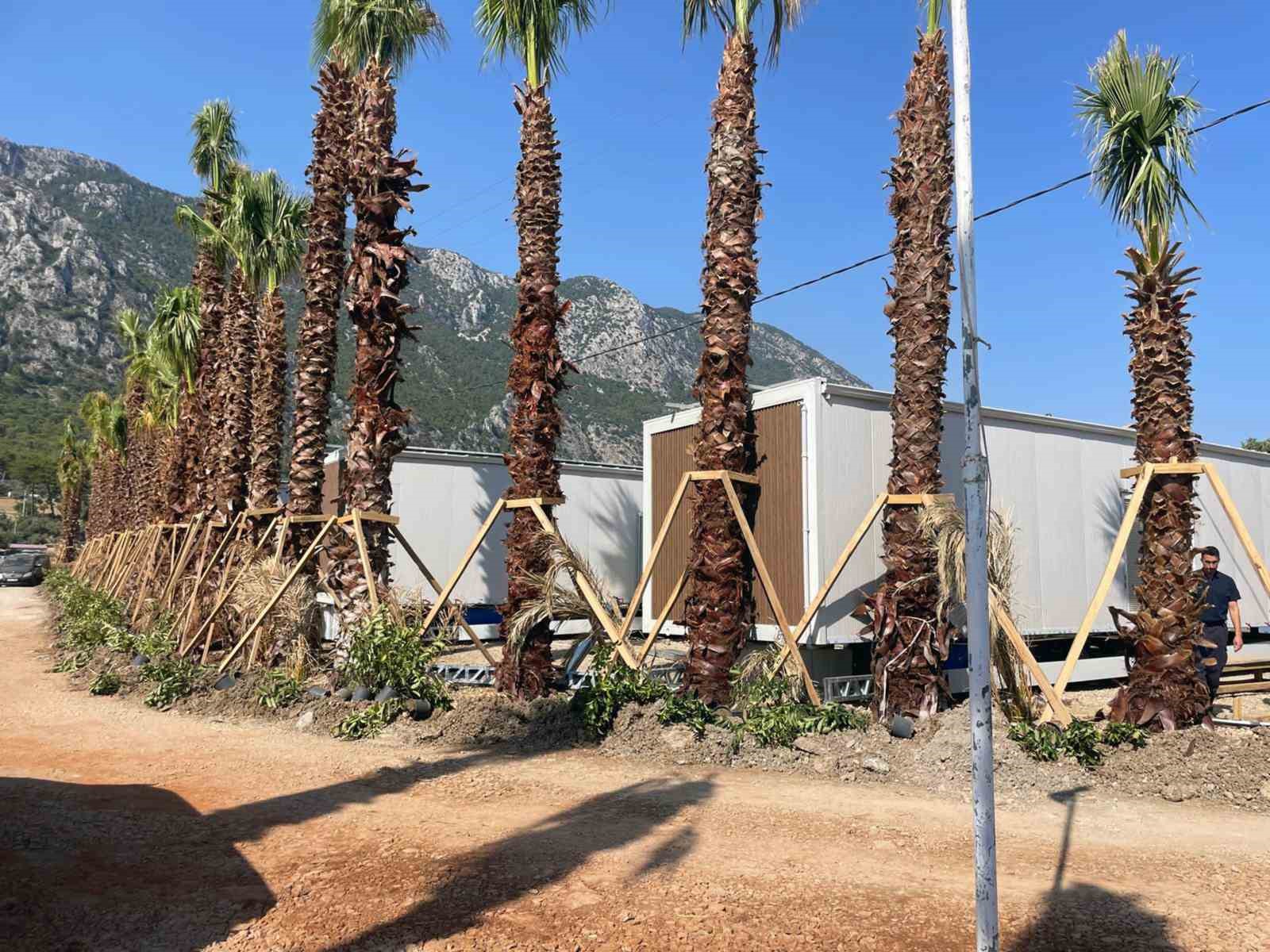 Menteşe Belediyesi Akbük’te 11 Tiny House’u mühürledi Kaçık ve eklenti yapılarla
