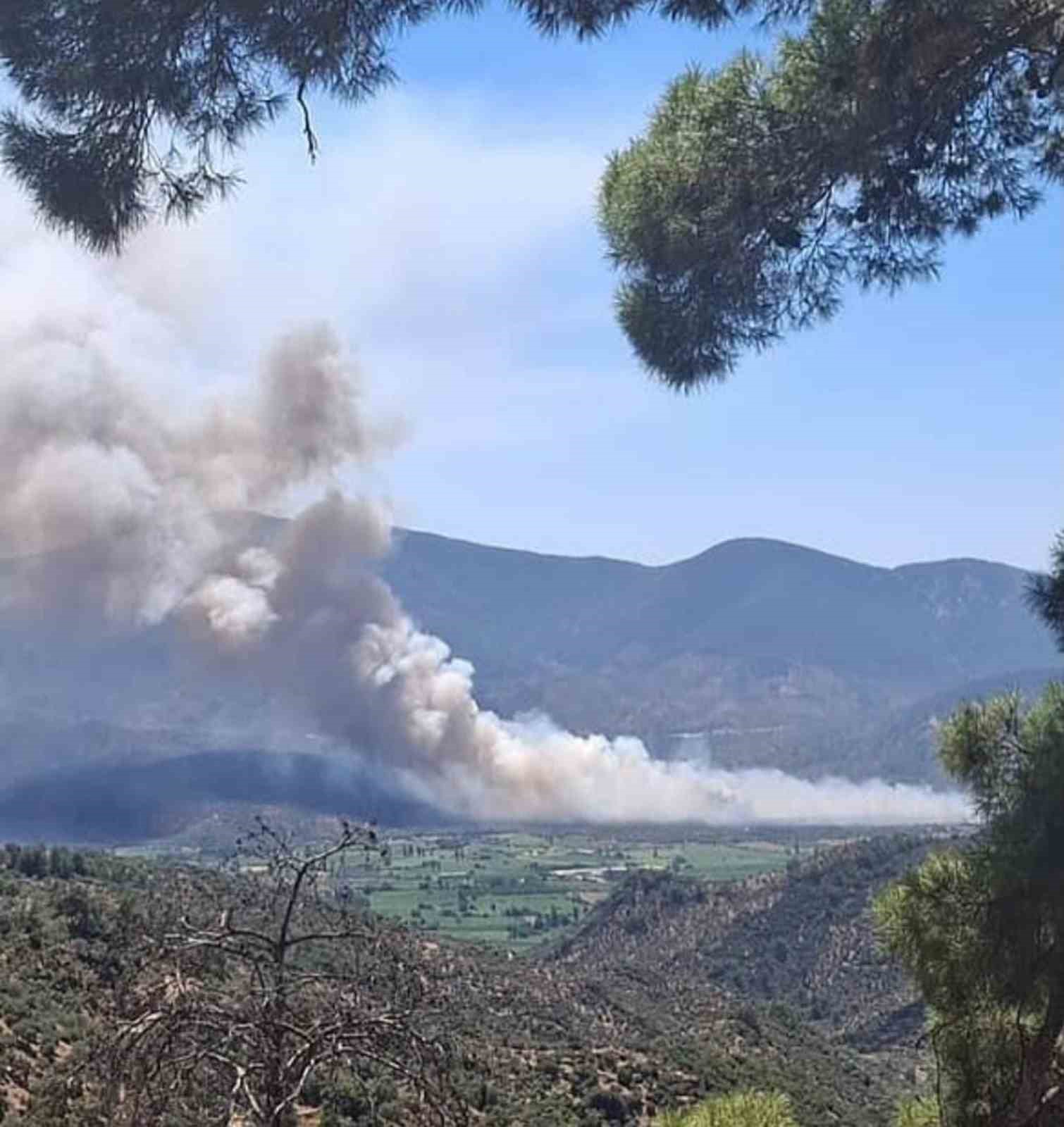 Milas Pınarcık’ta makilik ve zeytinlik alan yangını Muğla’nın Milas ilçesine bağlı
