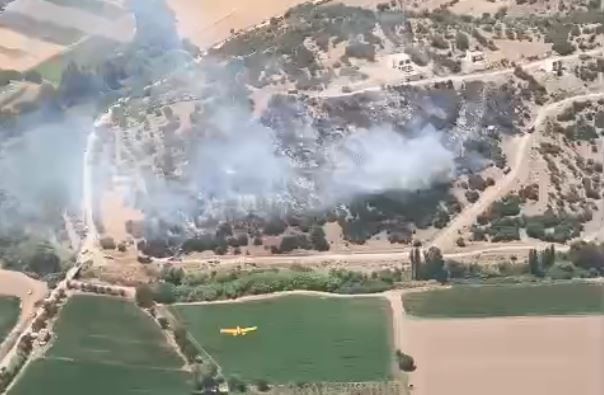 Milas’taki yangın kontrol altına alındı Muğla’nın Milas ilçesindeki bir