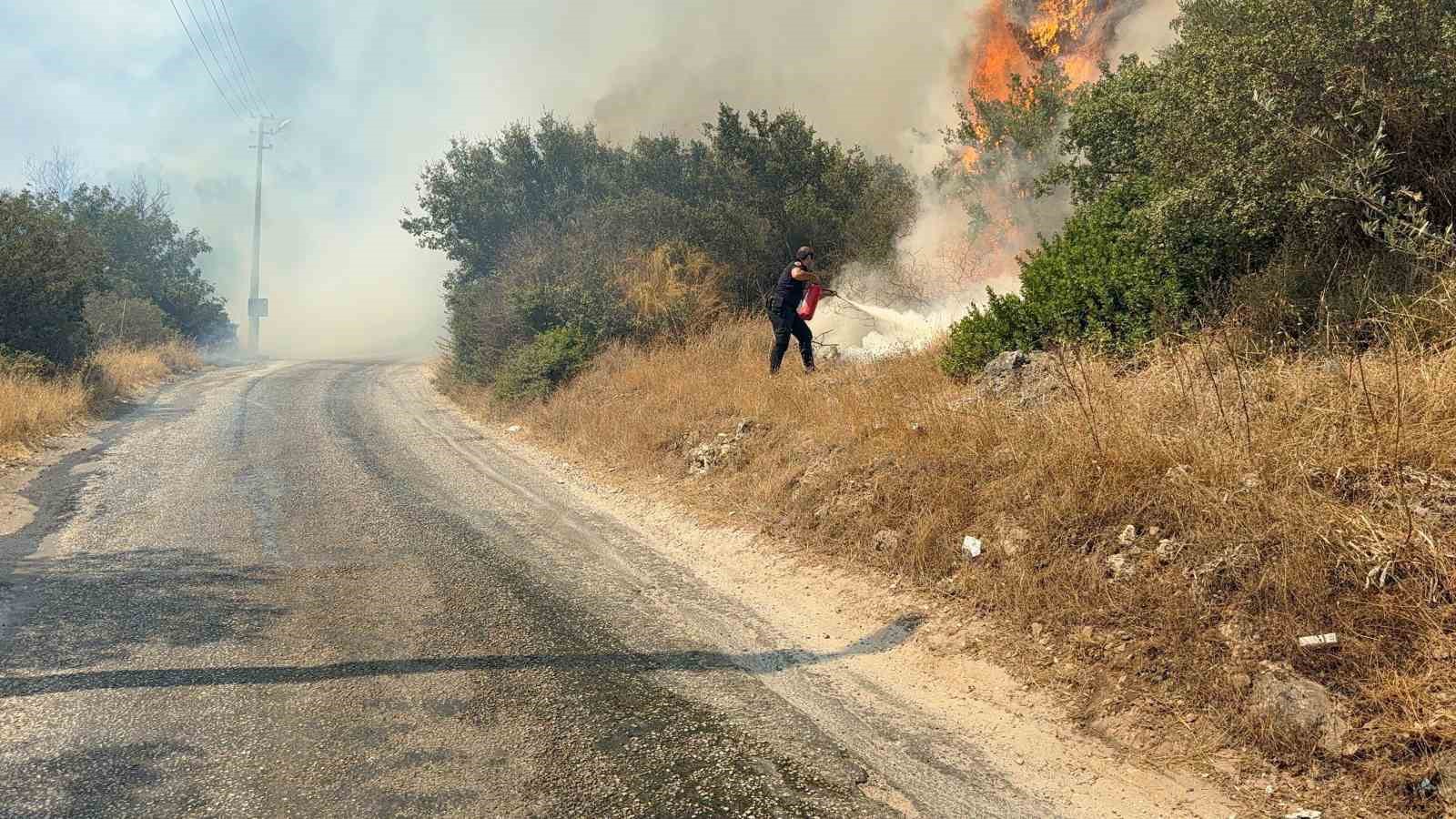 Muğla’nın Bodrum ilçesinde makilik
