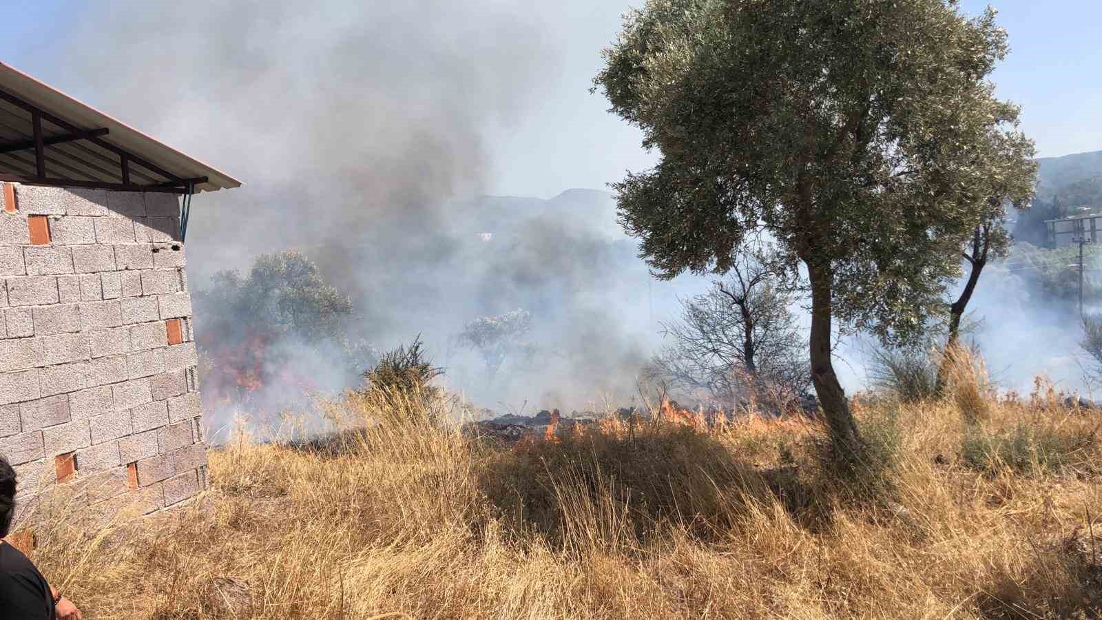 Muğla’nın Bodrum ilçesinde çıkan
