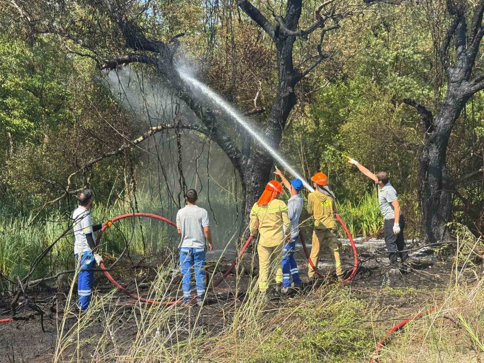 Muğla’nın Fethiye ilçesi Kargı