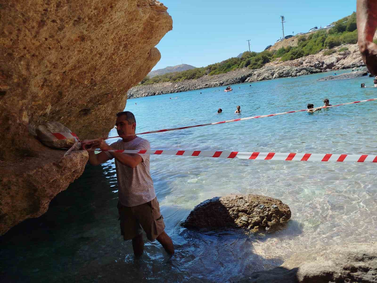 Koruma altına alınan Akdeniz foku, kontrollerinin ardından sahile bırakıldı Muğla’nın Datça ilçesinde sahile
