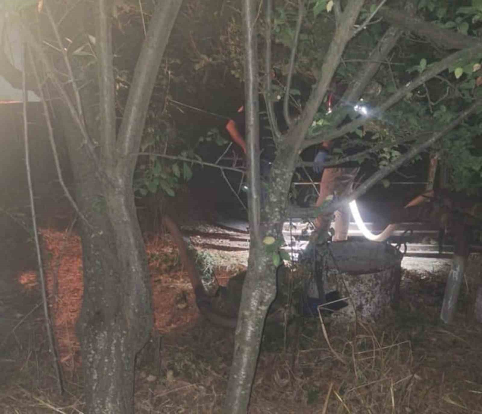 Muğla’nın Menteşe ilçesinde 88