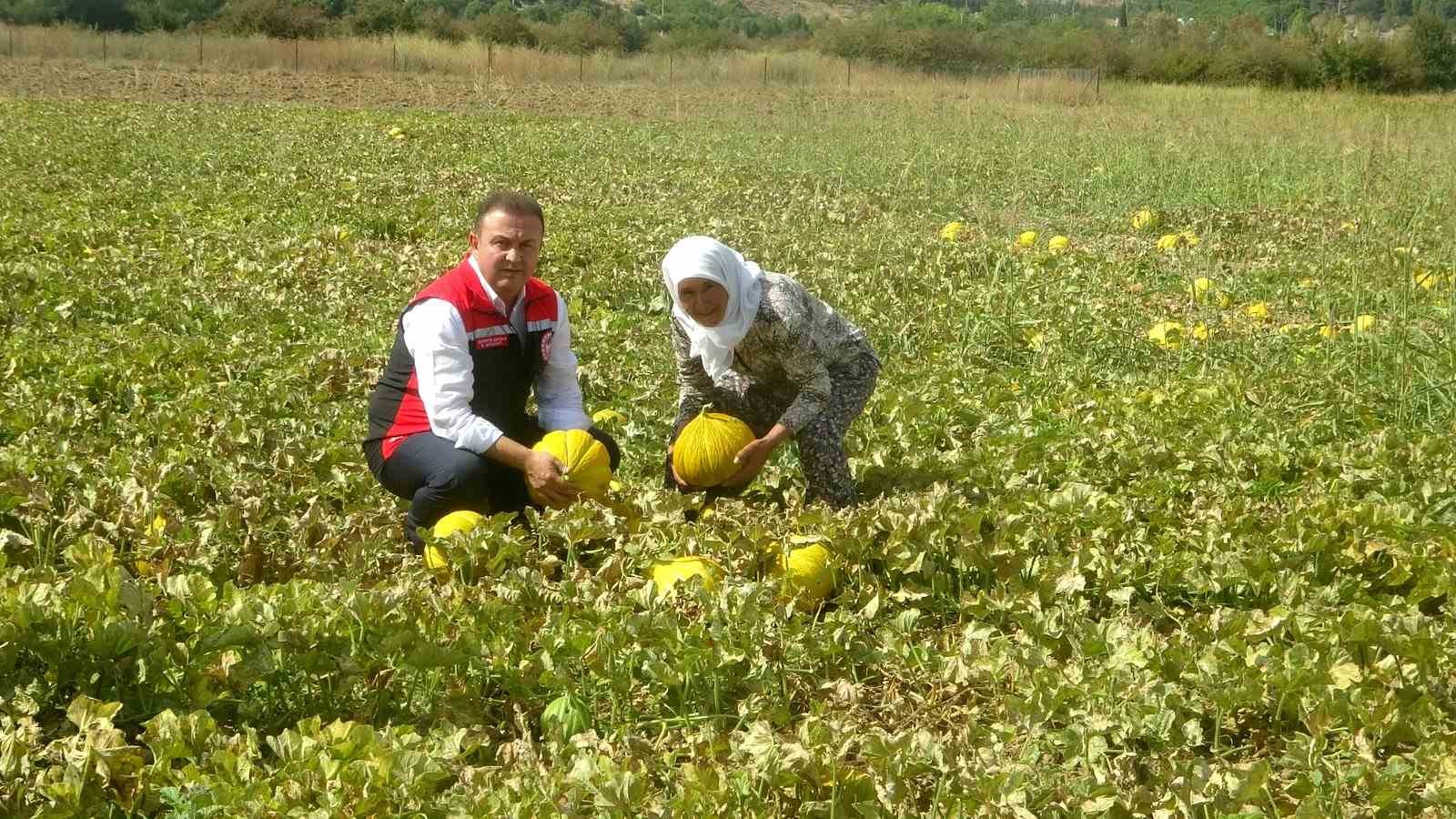 Dünyanının çıkılan değil, inilen