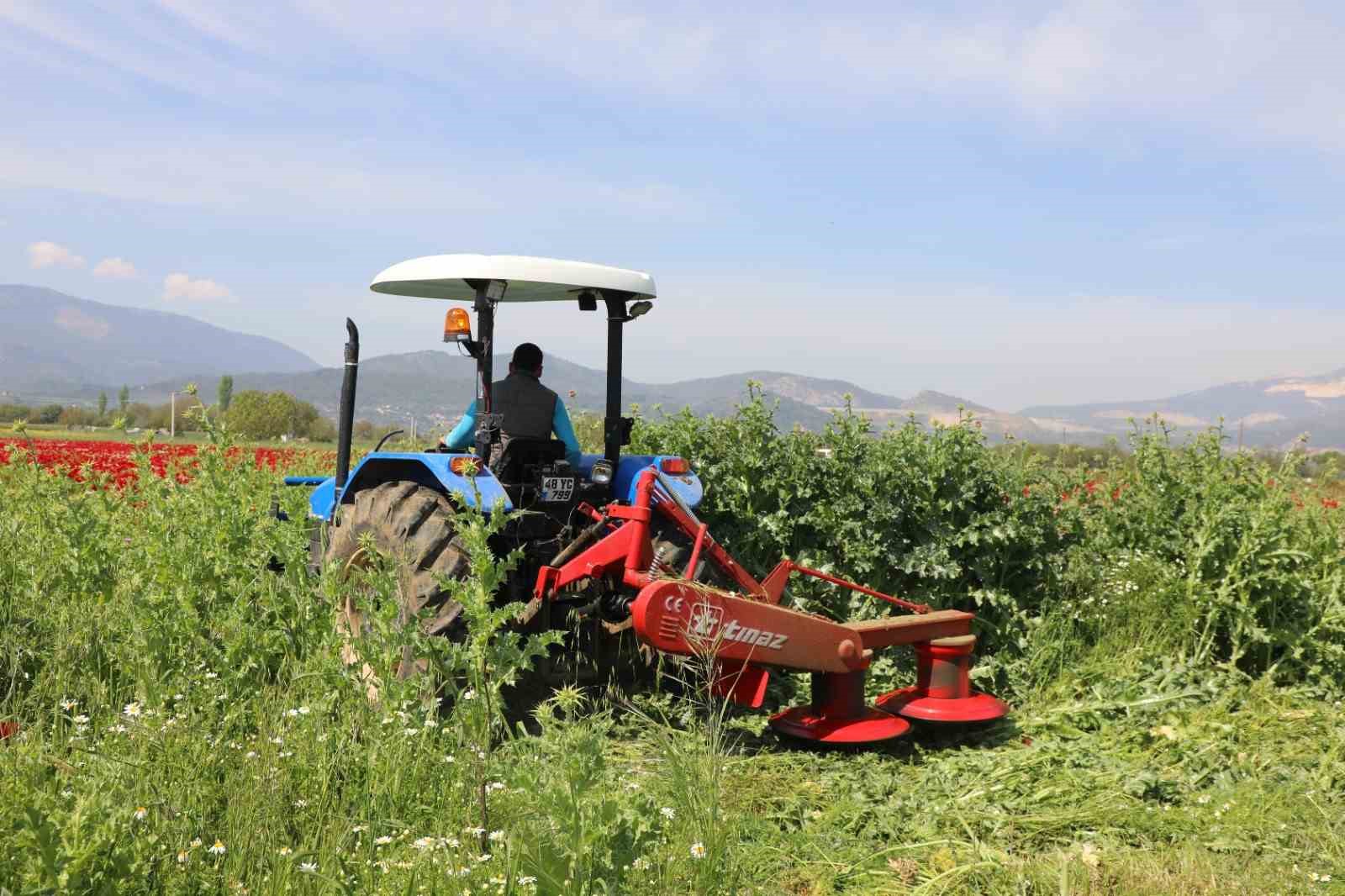 Muğla Büyükşehir Belediyesi, kırsal