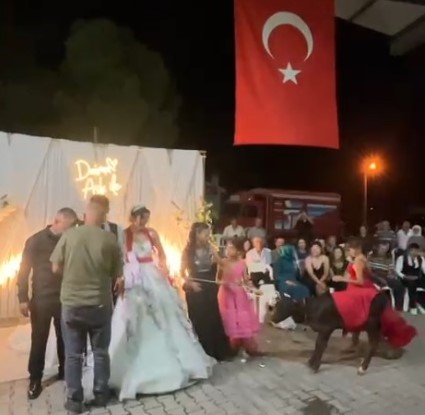Muğla’nın Yatağan ilçesi Bozarmut
