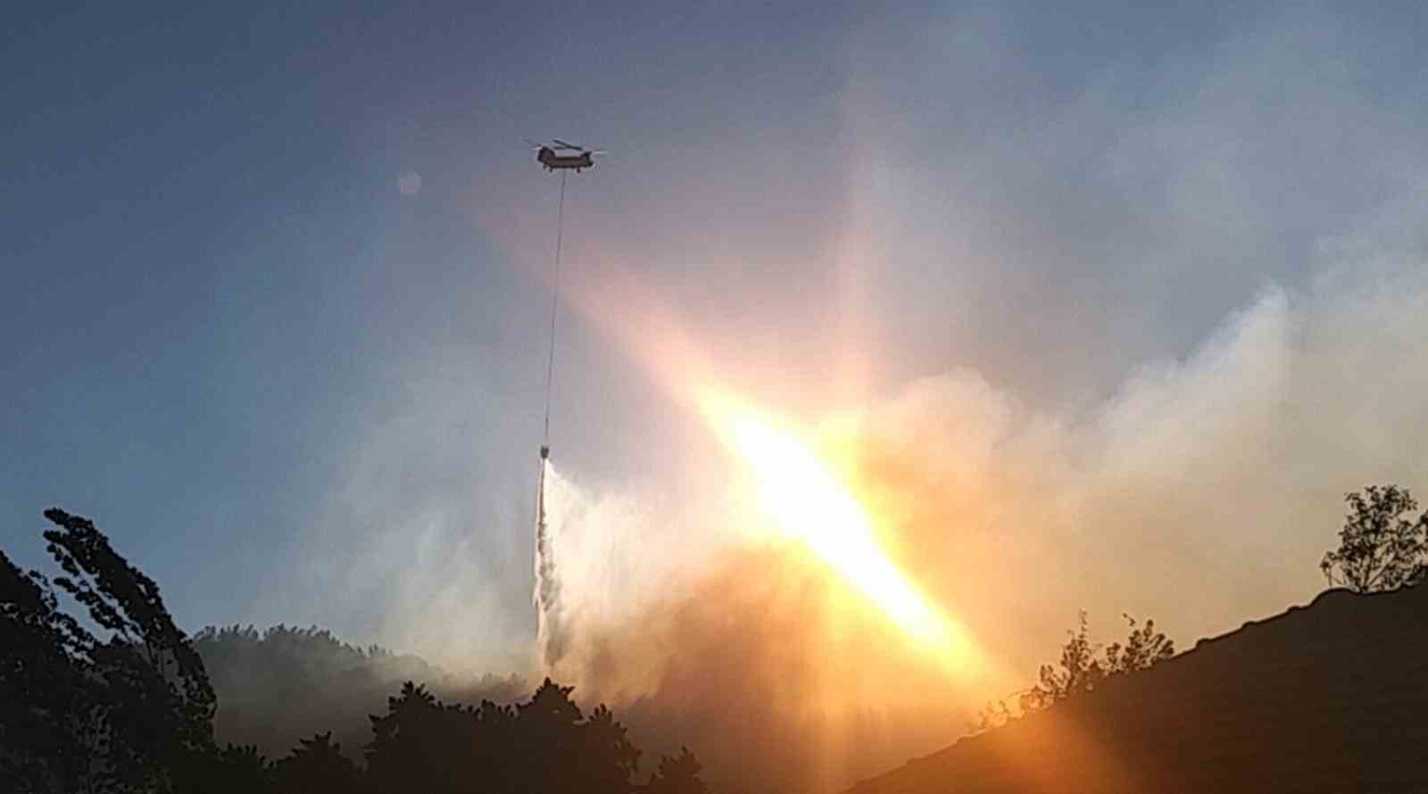 Muğla’nın Köyceğiz ilçesinde iki