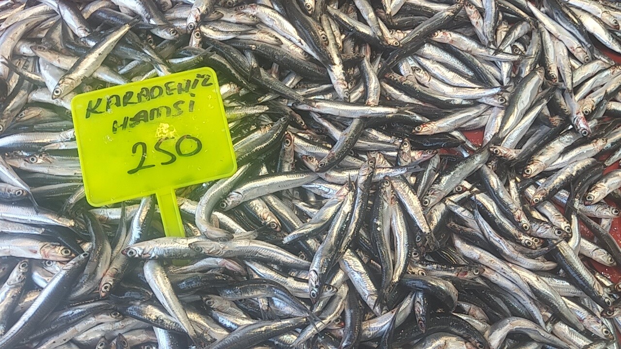 Muğla’da balık sezonunun açılmasıyla