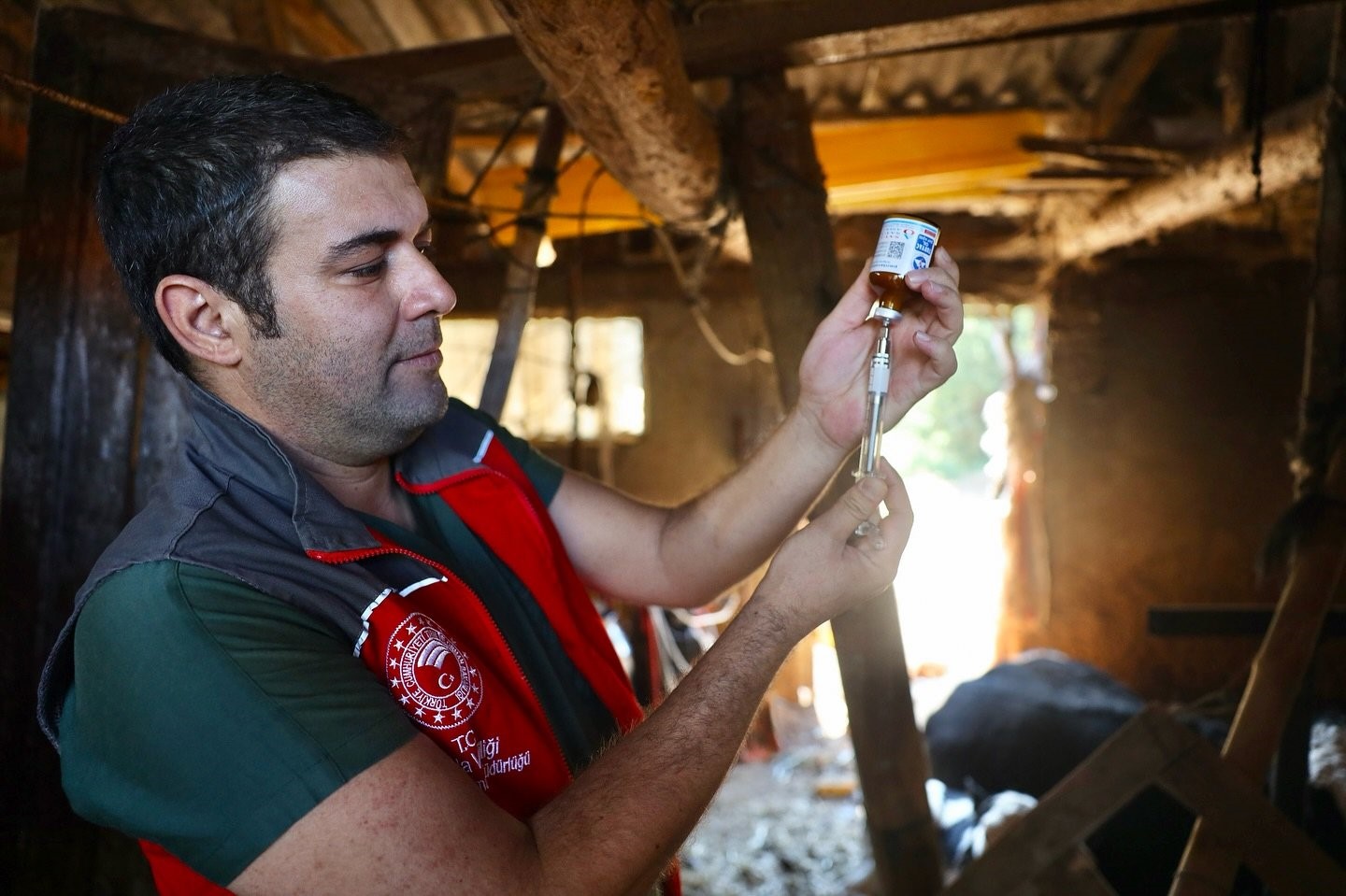 Muğla genelinde şap hastalığına