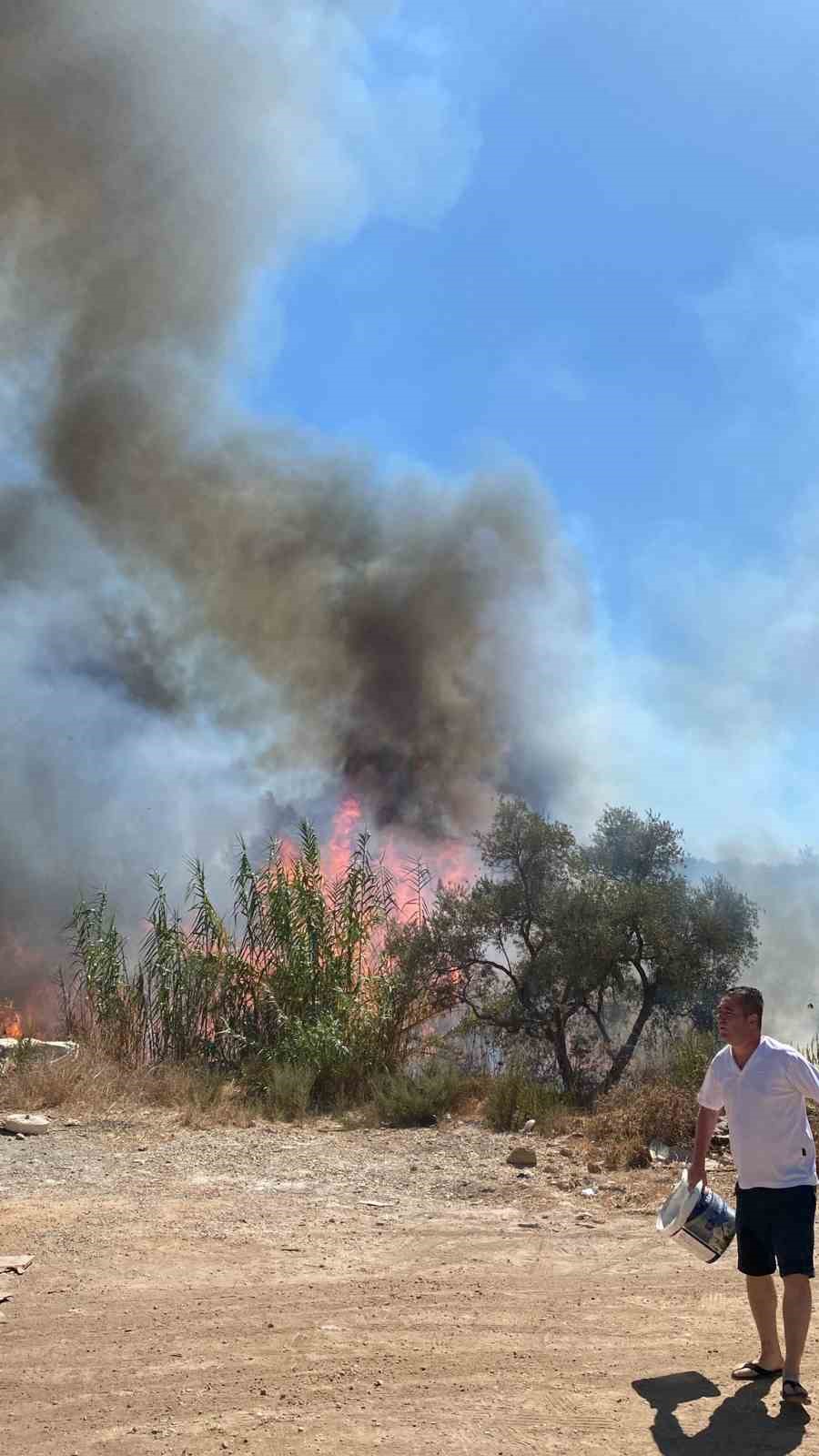 Muğla’nın Bodrum ilçesinde yol