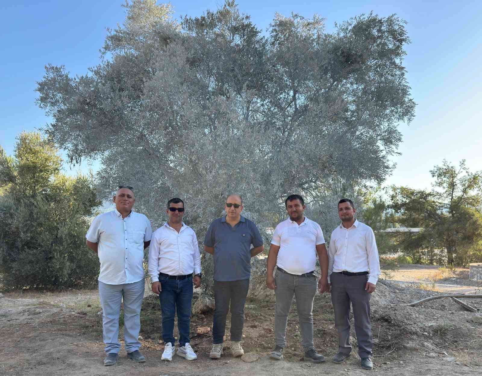 Muğla’nın Milas ilçesindeki maden