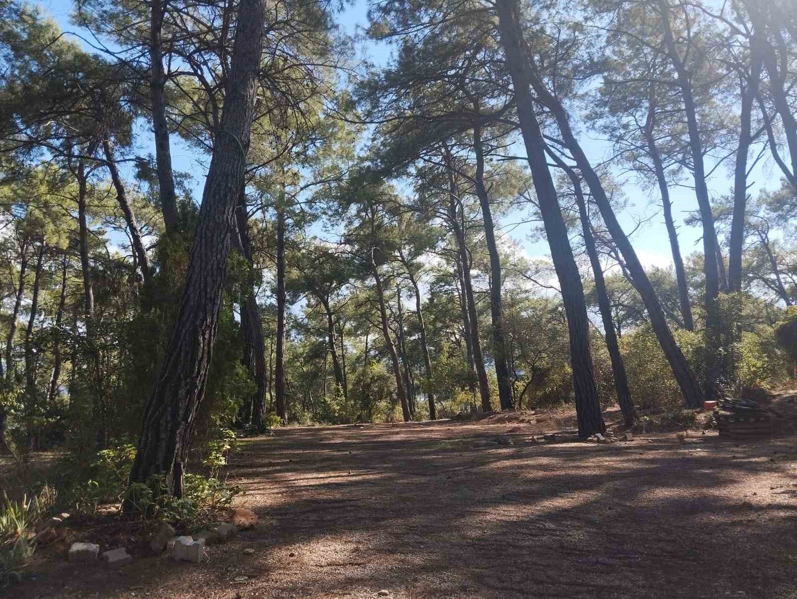 Akyaka Gökova Orman Parkı’nda temizlik ve elektrik yenileme çalışmaları başladı