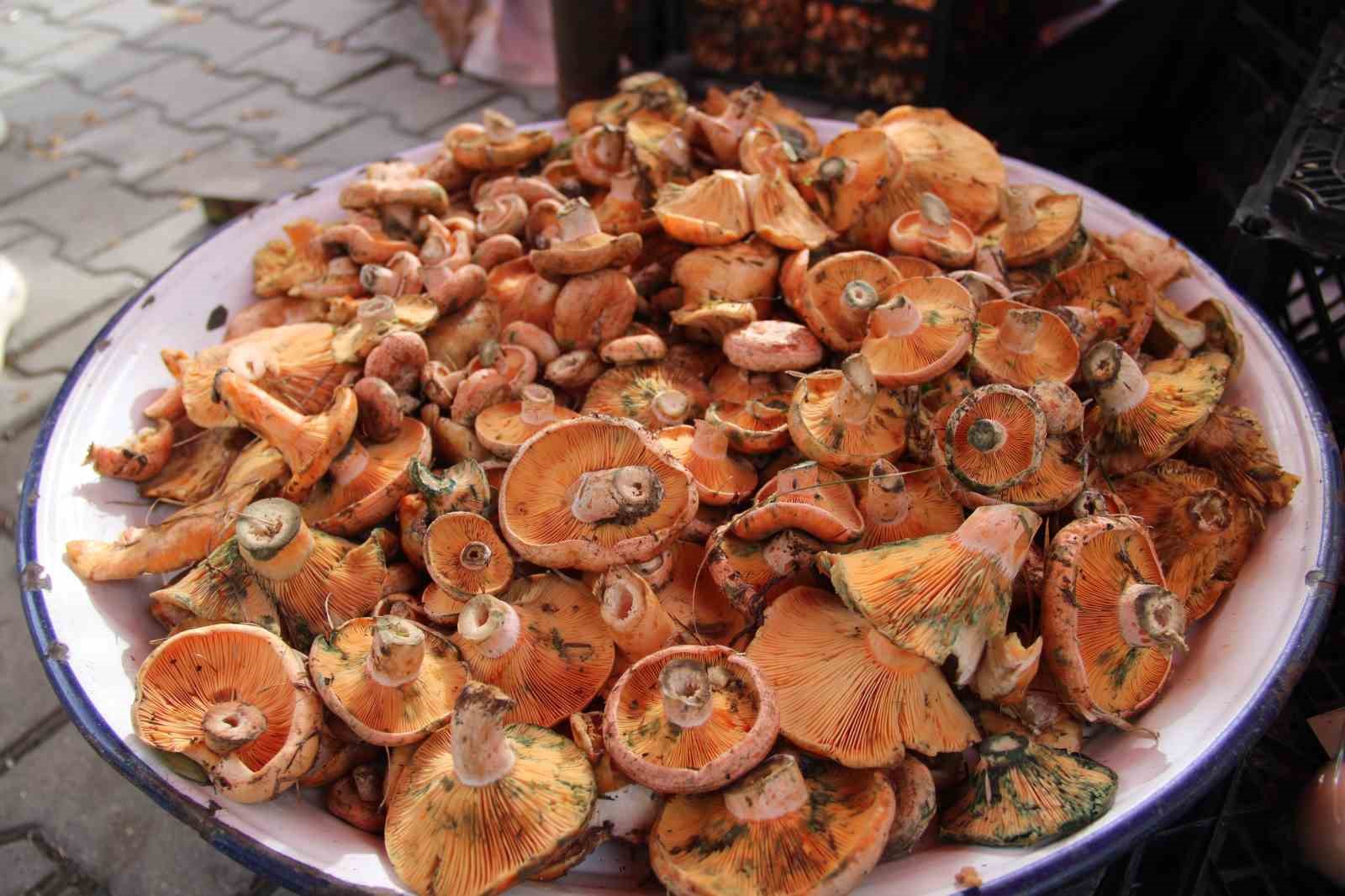 Muğla’nın Menteşe ilçesinde çıntar