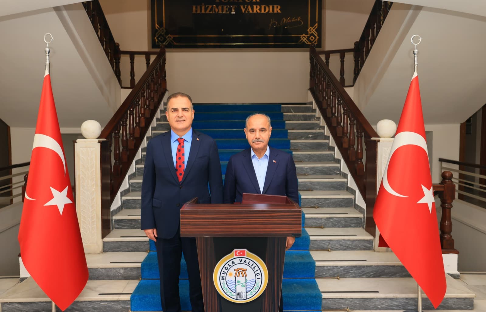 Bir dizi inceleme ve