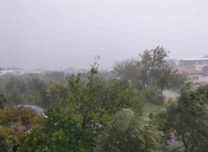 Köyceğiz’de fırtına ve sağanak yağış etkili oldu