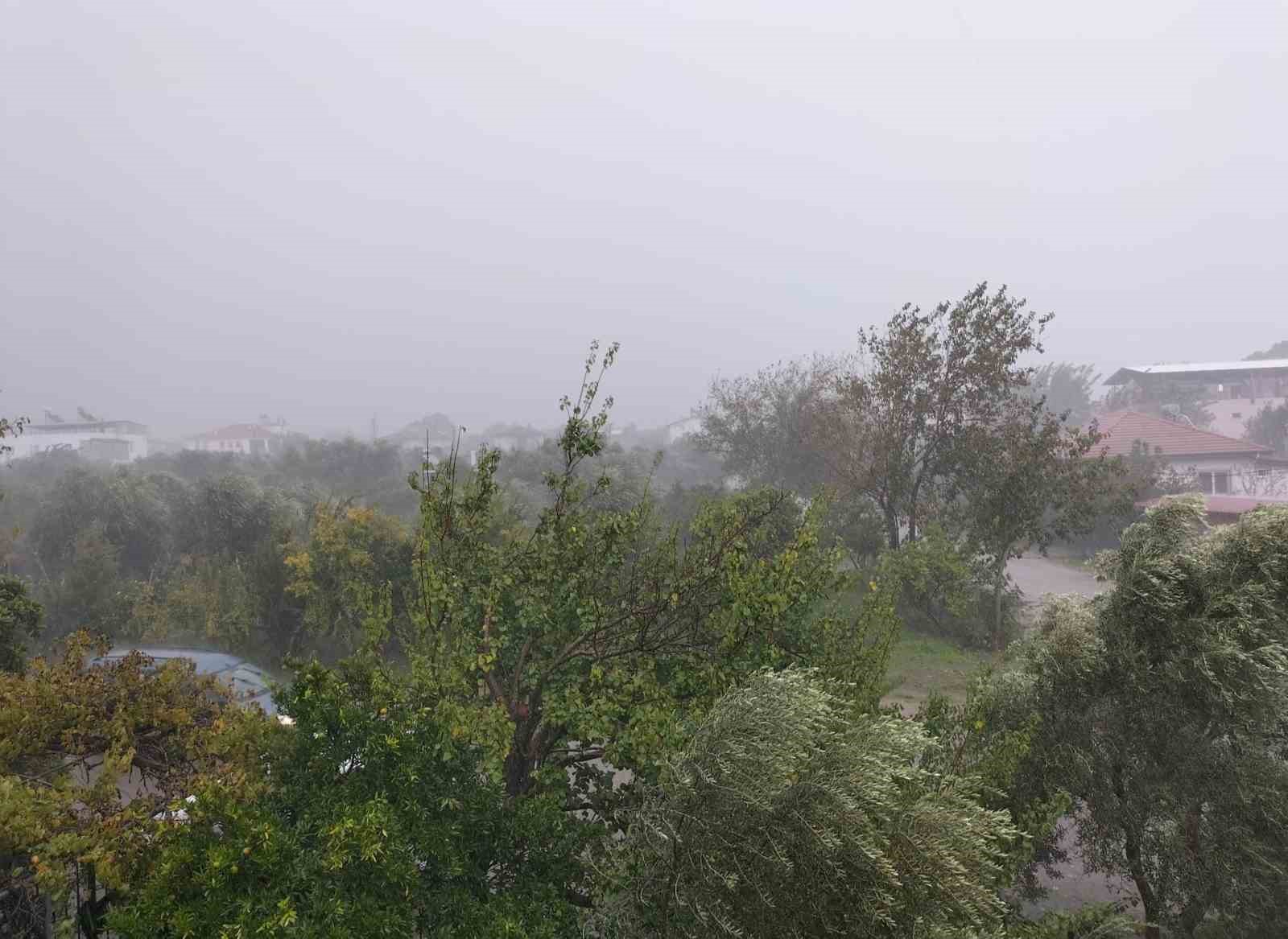 Muğla’nın Köyceğiz ilçesinde öğle