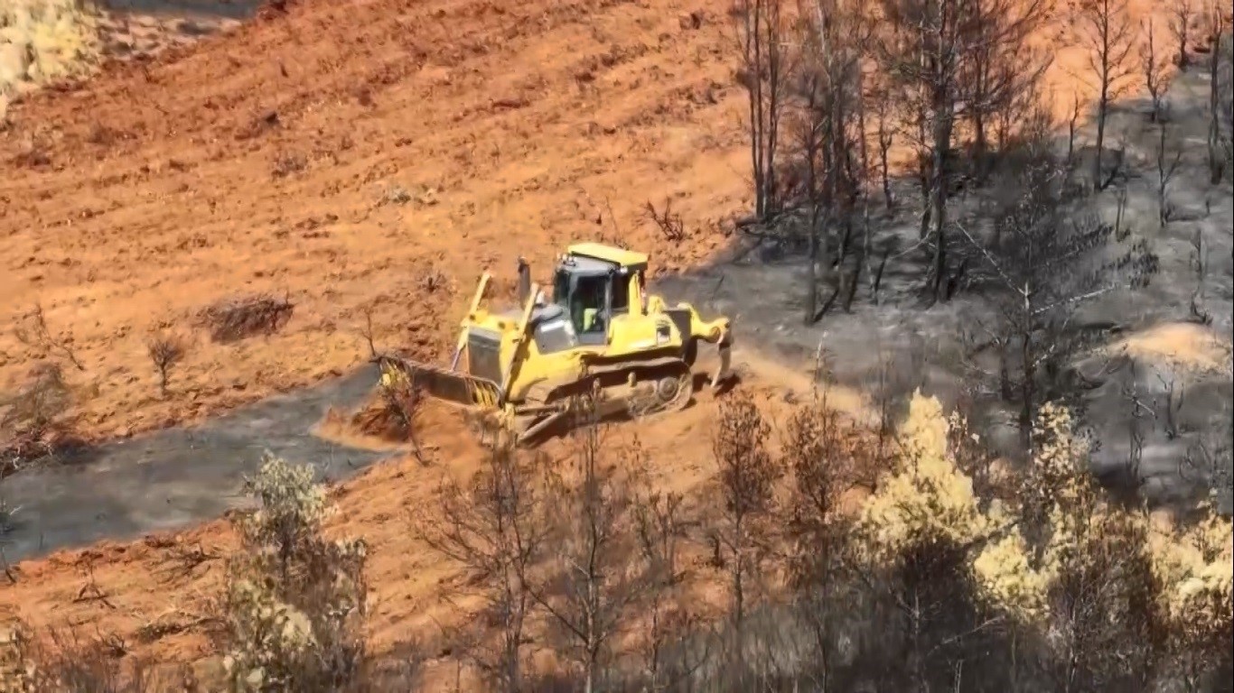 Muğla’nın Köyceğiz ilçesinde yaşanan
