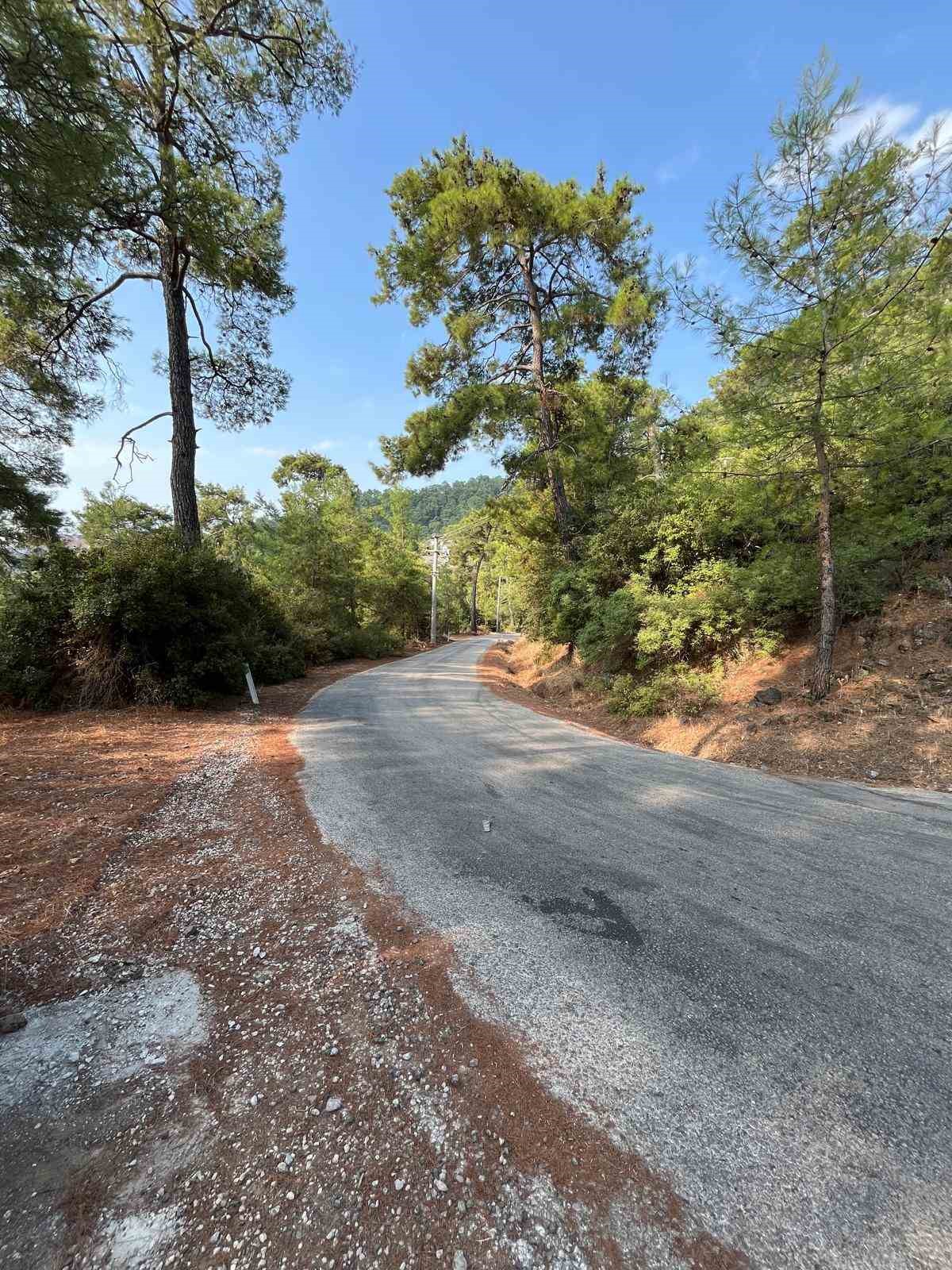 Marmaris Orman İşletme Müdürlüğü