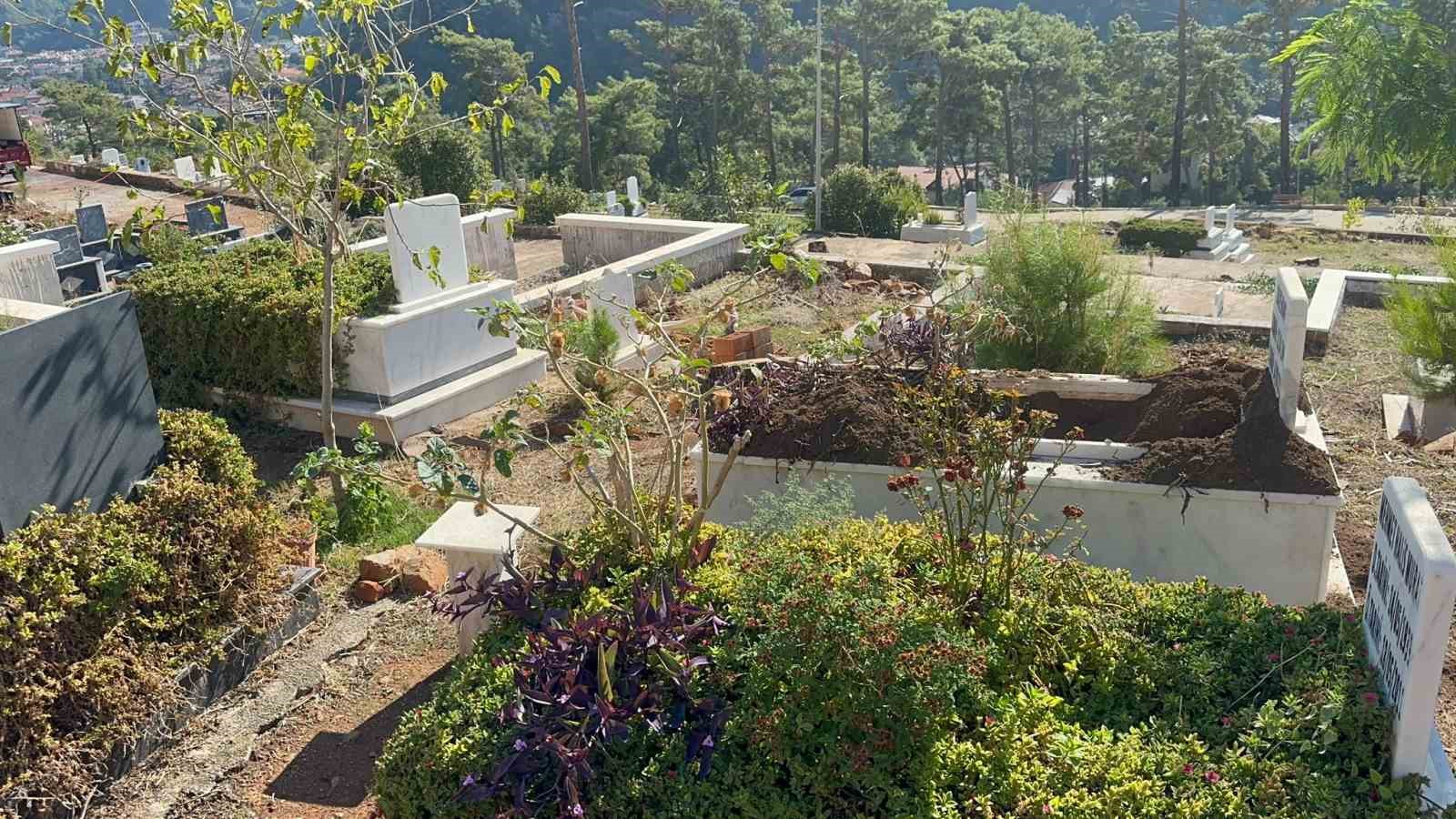 Dünyanın ve Türkiye’nin en