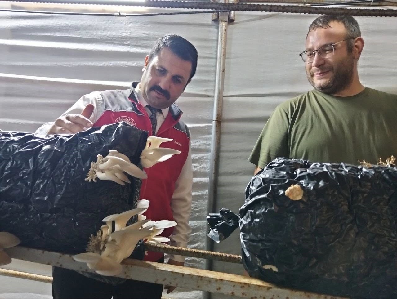 Menteşe İlçe Tarım ve