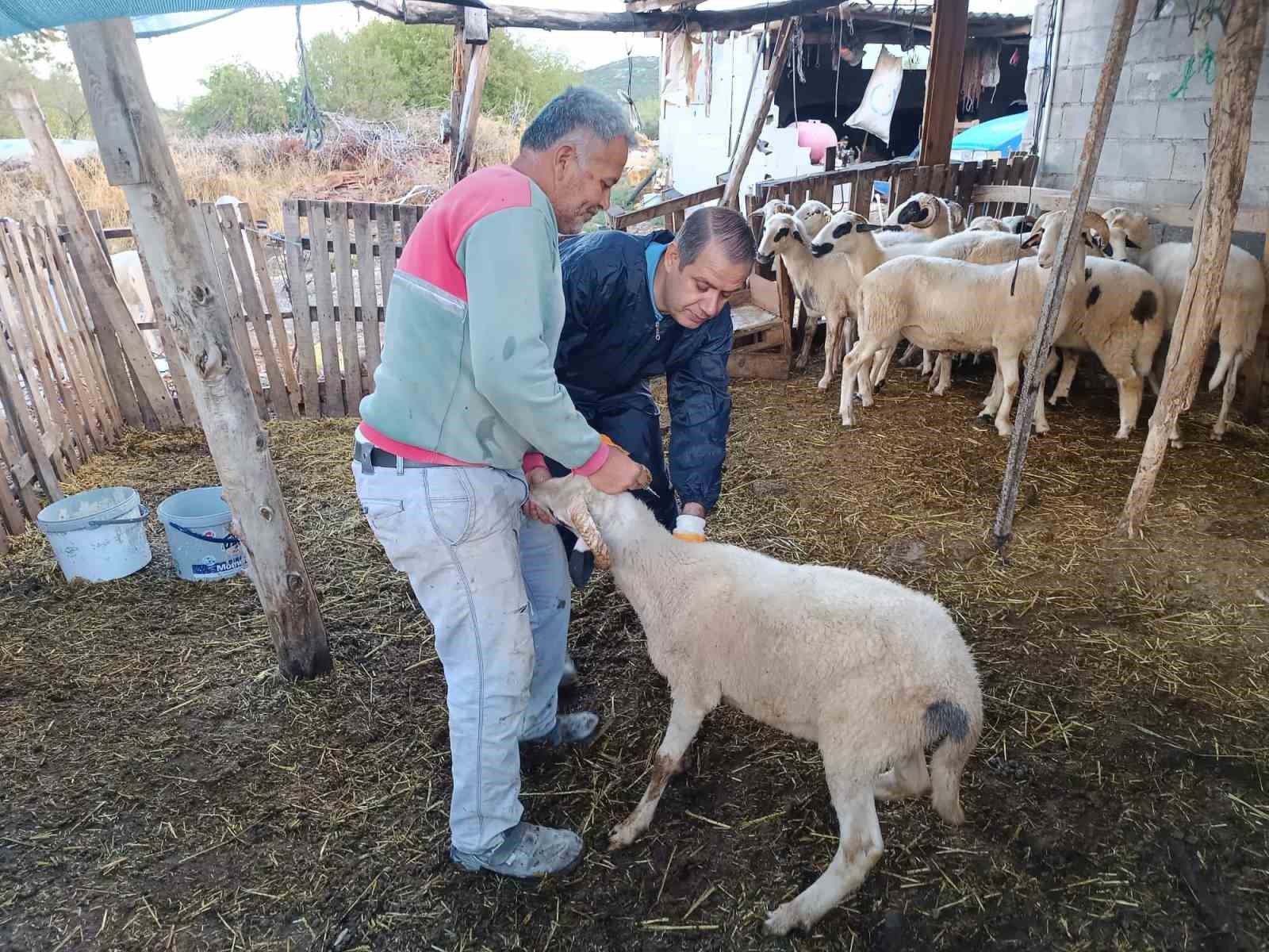 Menteşe İlçe Tarım ve