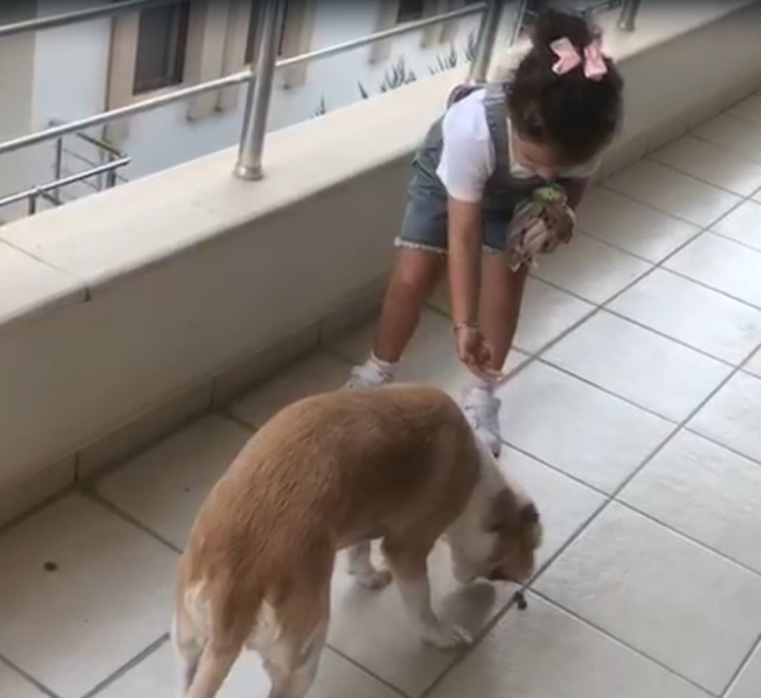 Muğla’nın Datça ilçesinde 4