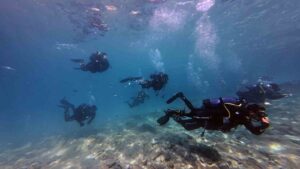 Muğla Büyükşehir Belediyesi Sualtı Arama Kurtarma ekibi göreve hazır