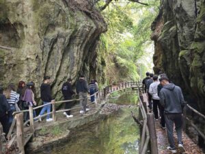Muğla’da gençler ekolojik etkinlikte buluştu