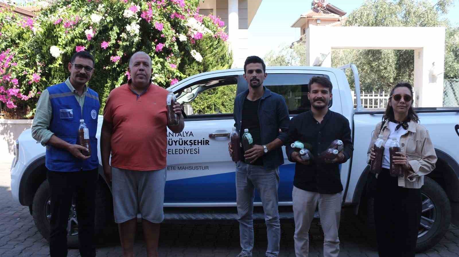 Marmaris Ağaçlandırma ve Doğa