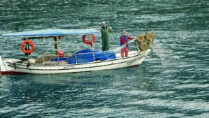 Akdeniz Koruma Derneği’nden ‘Dünya Balıkçılık Günü’ mesajı