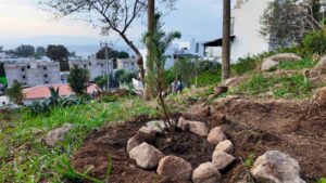 Bodrum Belediyesi çocukları doğayla buluşturdu