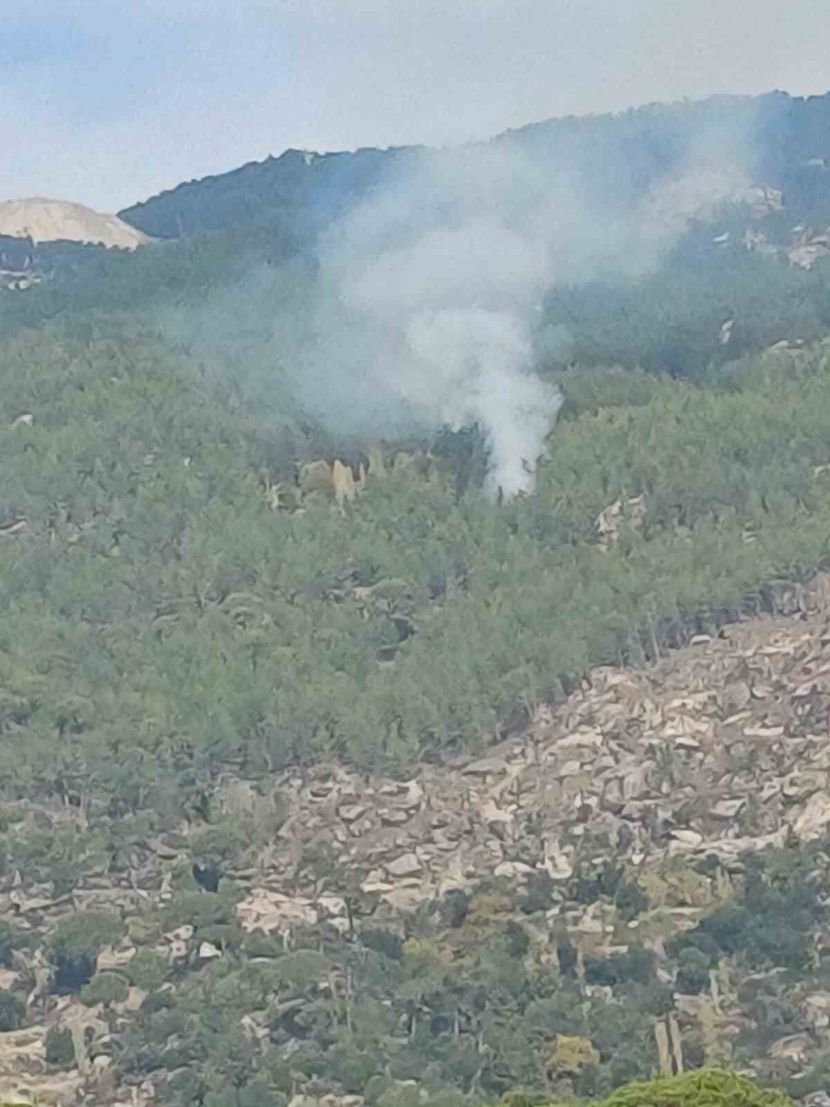 Muğla’nın Kavaklıdere ilçesinde orman