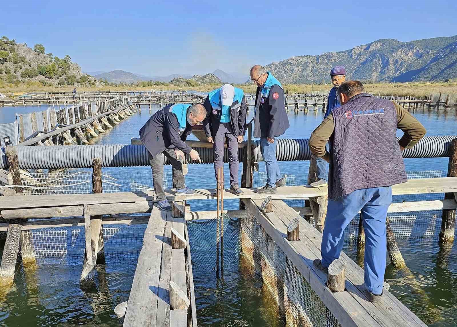 MUĞLA (İHA) Muğla Tarım