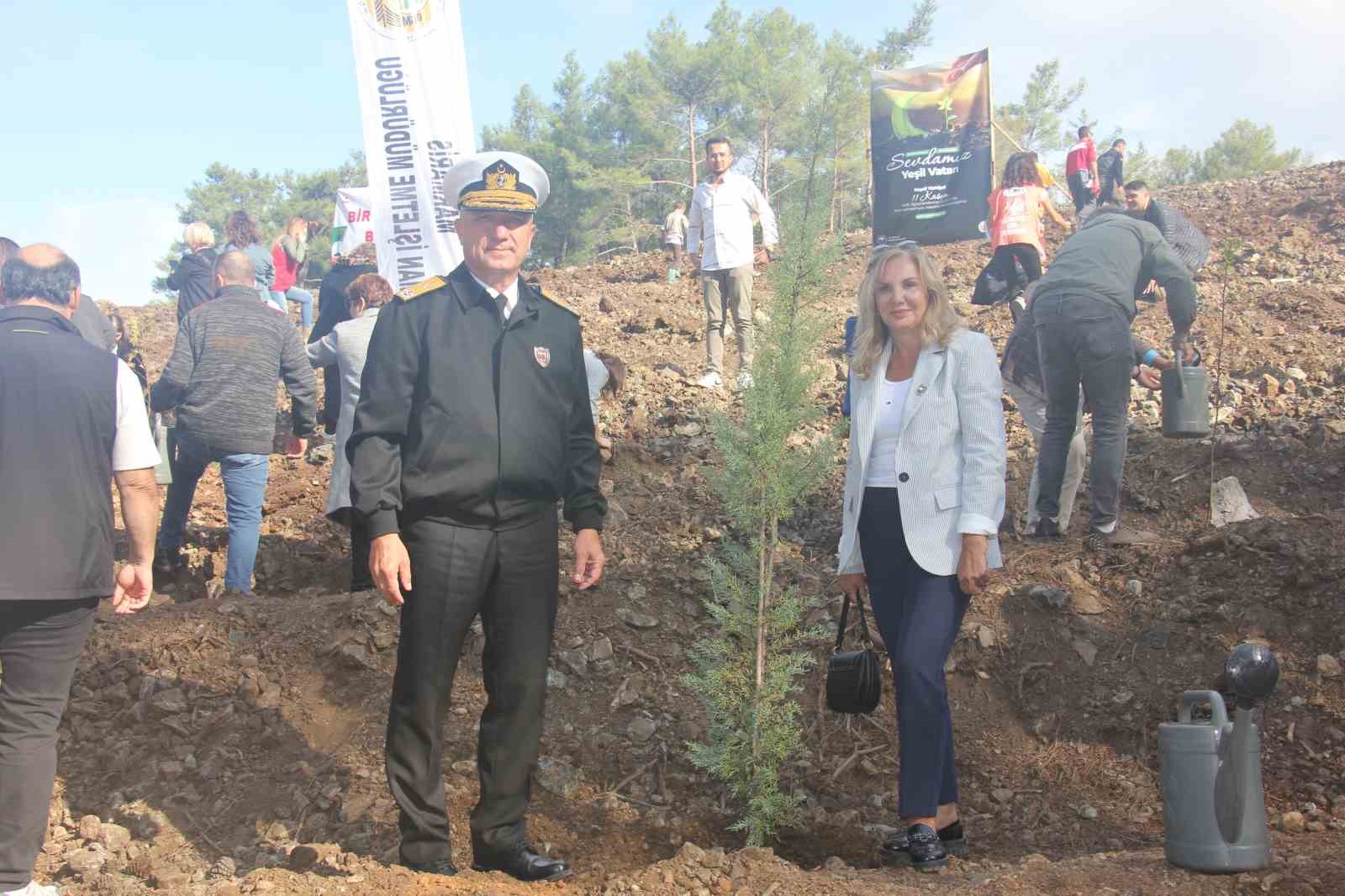 Muğla’nın Marmaris ilçesinde orman