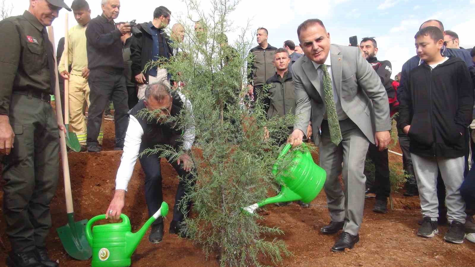 11 Kasım Milli Ağaçlandırma