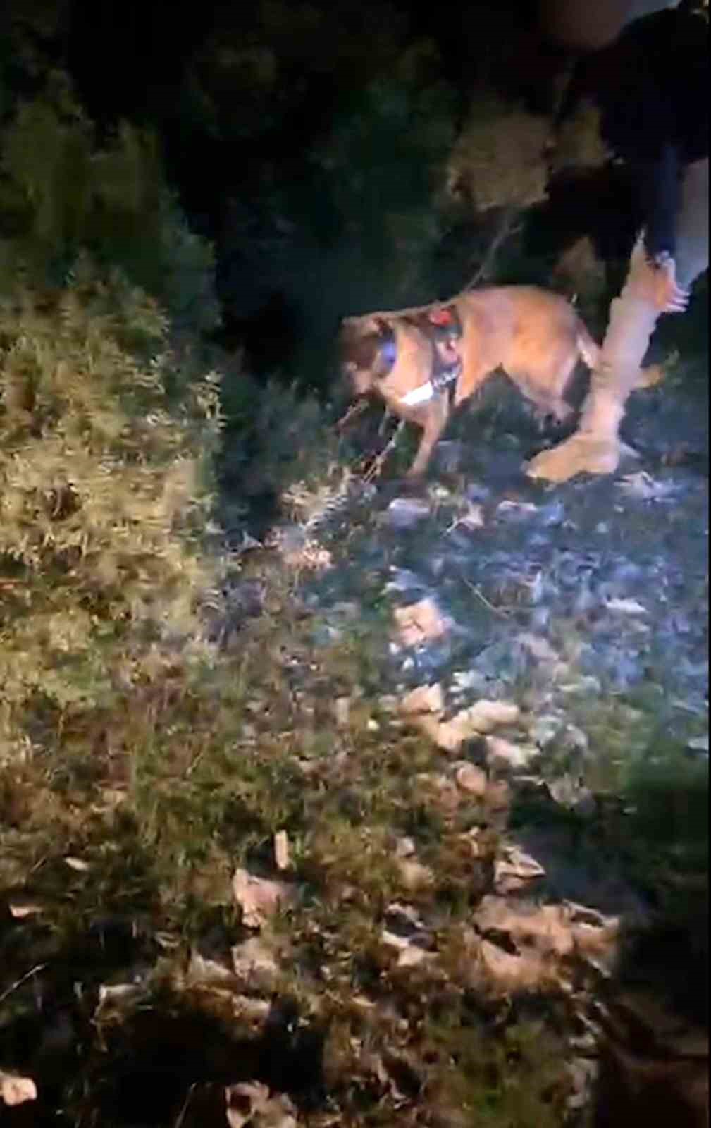 Muğla Emniyet Müdürlüğü Muğla