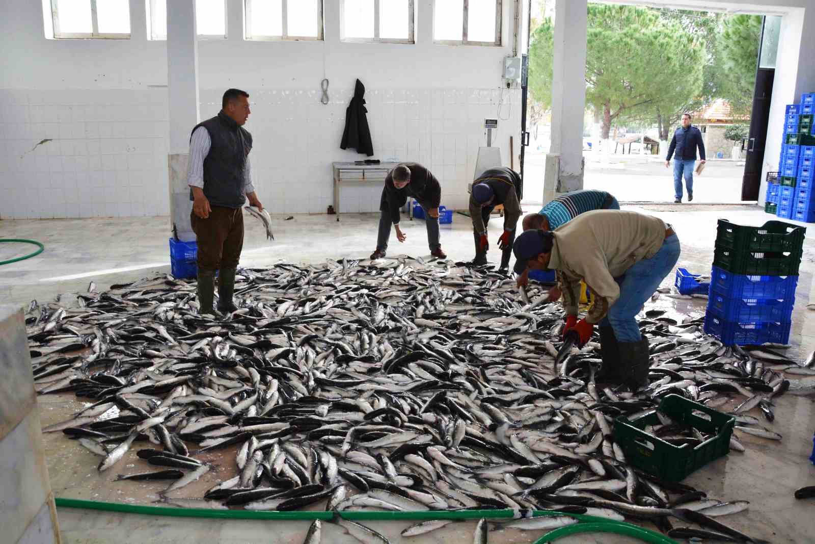 Muğla İli Eşen Çayı