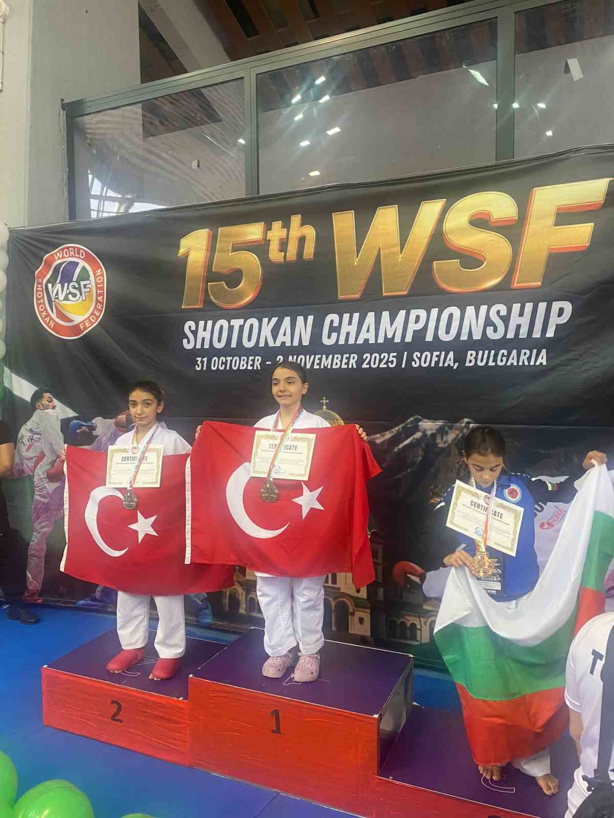 Dünya Karate Federasyonu (WKF)