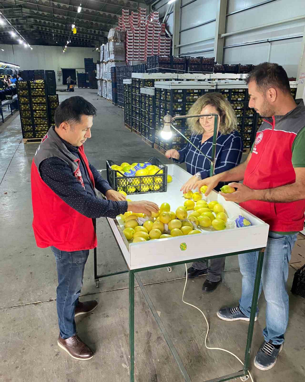 Ortaca’da Avrupa Birliği ülkeleri,